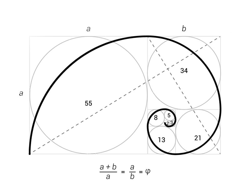 golden ratio in leonardo da vinci